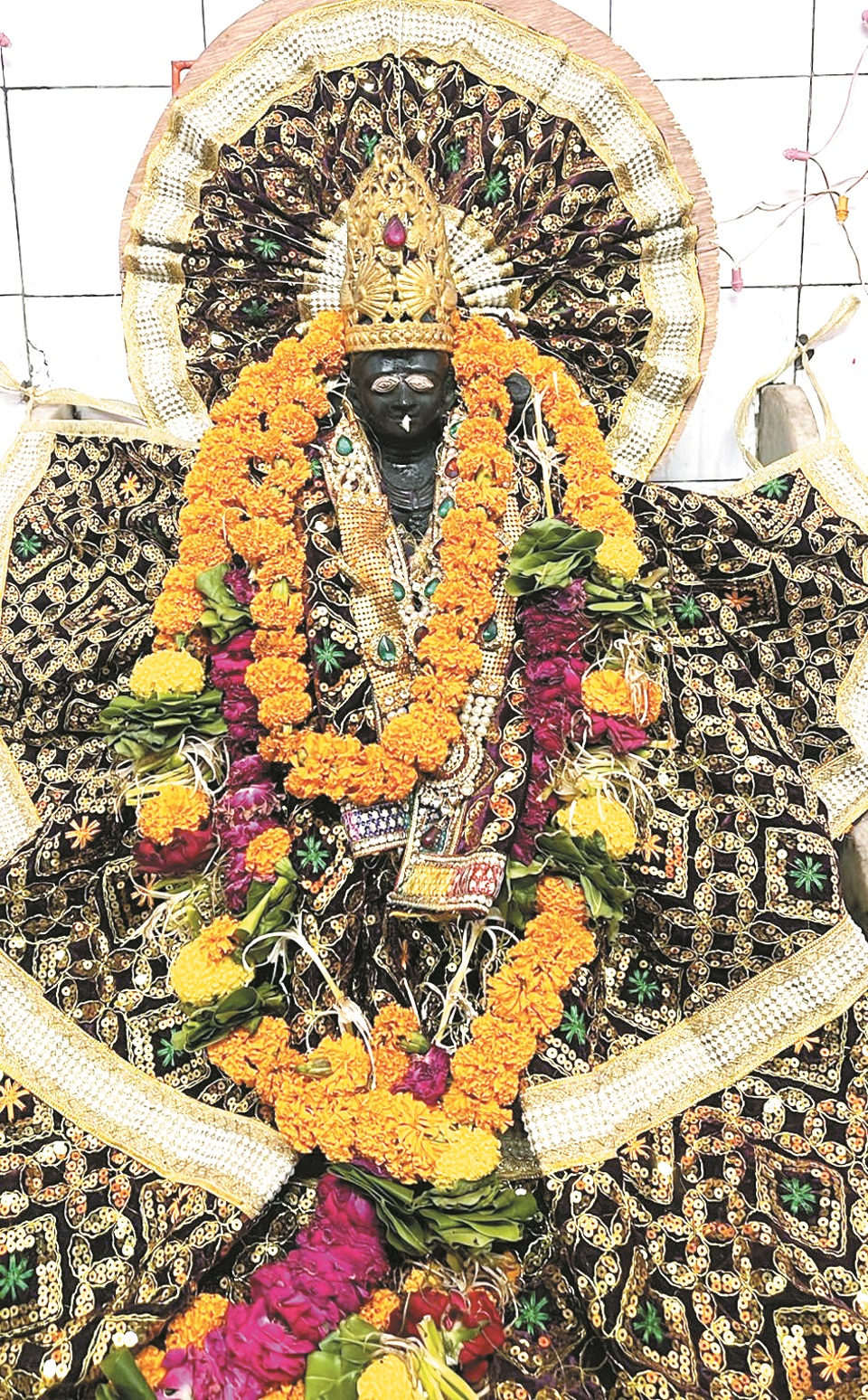 गंजपारा स्थित प्राचीन शनि देव मंदिर में शनि जन्मोत्सव