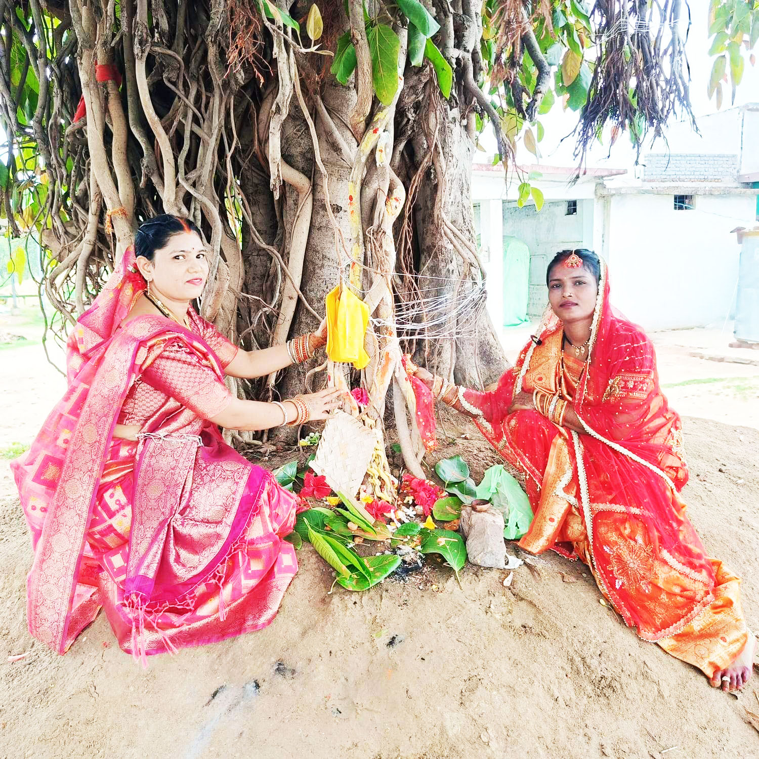पति की दीर्घायु के लिए रखा वट सावित्री व्रत पति की दीर्घायु के लिए रखा वट सावित्री व्रत
