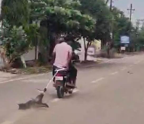 कुत्ते को बाइक से घसीटते वीडियो वायरल, न्यायालय के आदेश बाद जांच