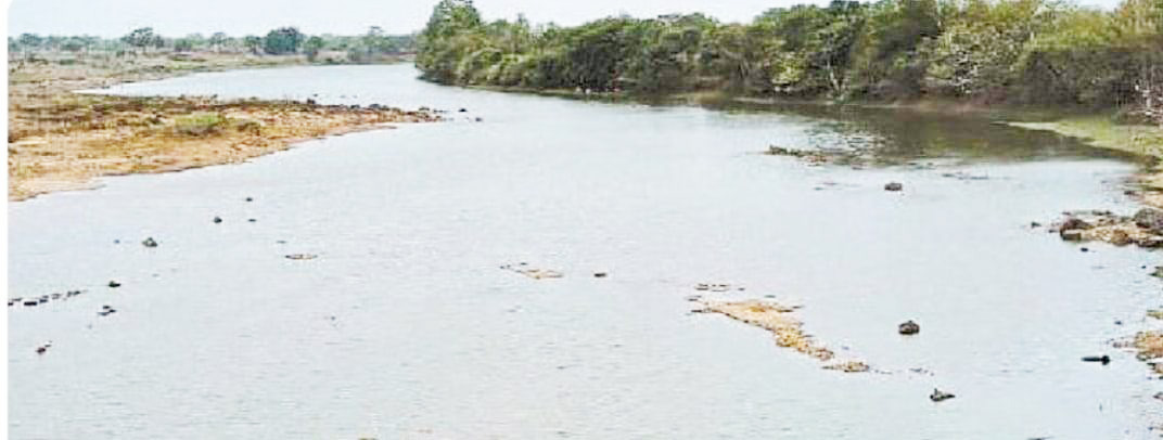 शिवनाथ का जलस्तर बढ़ा, 57 गांवों को मीठे पानी की सप्लाई, बंद प्लांट होंगे शुरू शिवनाथ का जलस्तर बढ़ा, 57 गांवों को मीठे पानी की सप्लाई, बंद प्लांट होंगे शुरू