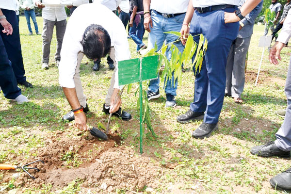 विश्व पर्यावरण दिवस विश्व पर्यावरण दिवस