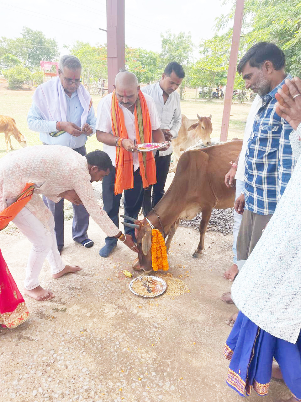 बाबा बैदनाथ इस्पात लिमिटेड गैतरा ने ताराशिव के गौठान को गोद लिया , गौ सेवा का संकल्प बाबा बैदनाथ इस्पात लिमिटेड गैतरा ने ताराशिव के गौठान को गोद लिया , गौ सेवा का संकल्प