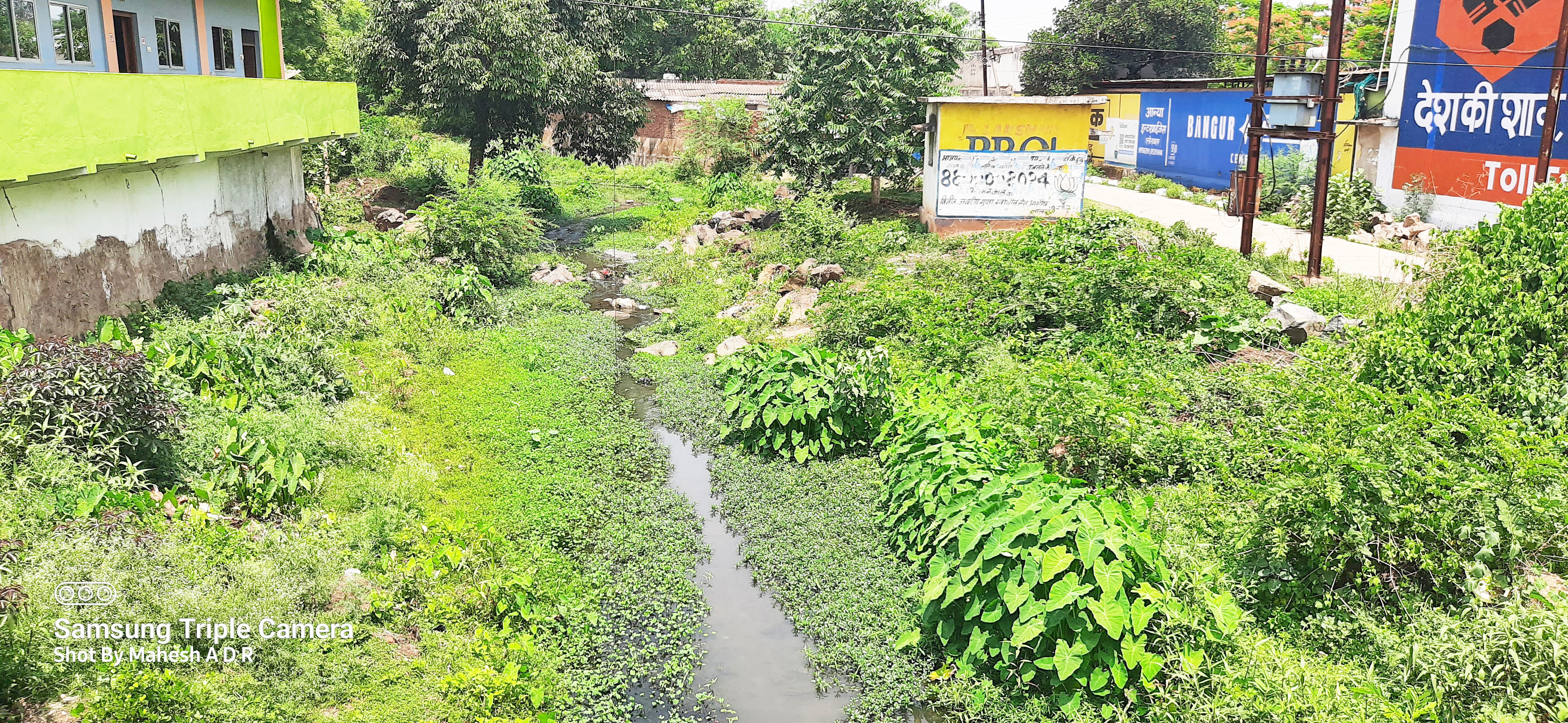 पौधों, मिट्टी, कचरे से पटा बारहमासी नाला