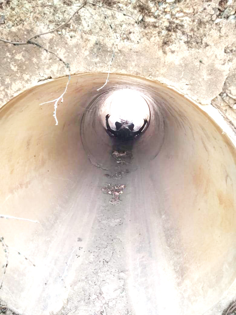 सीतागोटा-बोईरटोला क्षेत्र में मिला युवक की सड़ी-गली लाश