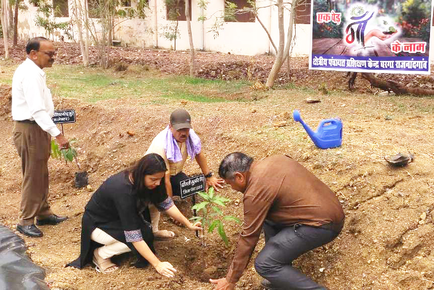 विश्व पर्यावरण दिवस  पर बरगा में पौधरोपण