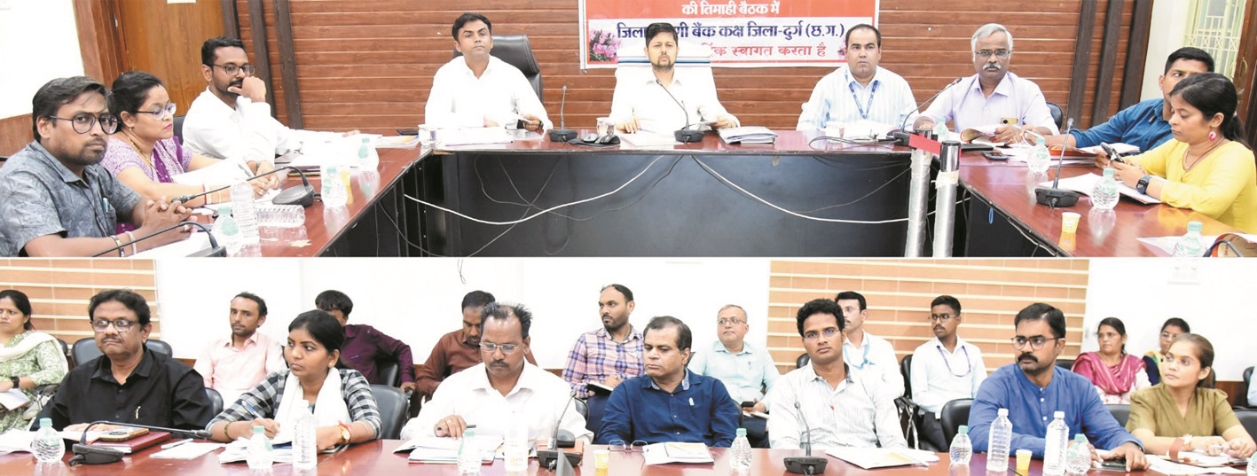 बैंकों में लंबित शासकीय योजना आवेदनों का शीघ्र निराकरण करें-कलेक्टर