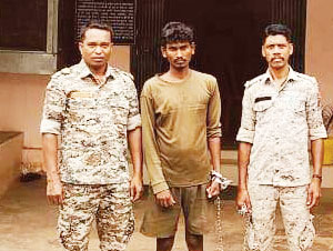 28 मवेशी बरामद, एक आरोपी गिरफ्तार