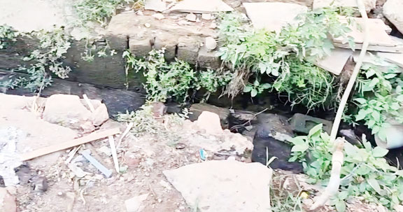 नाली का गंदा पानी घरों में, बढ़ी बीमारी की आशंका