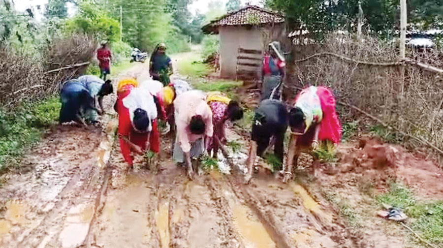 सडक़ बदहाल, ग्रामीण महिलाओं का गुस्सा फूटा, सडक़ में रोपा लगा प्रदर्शन