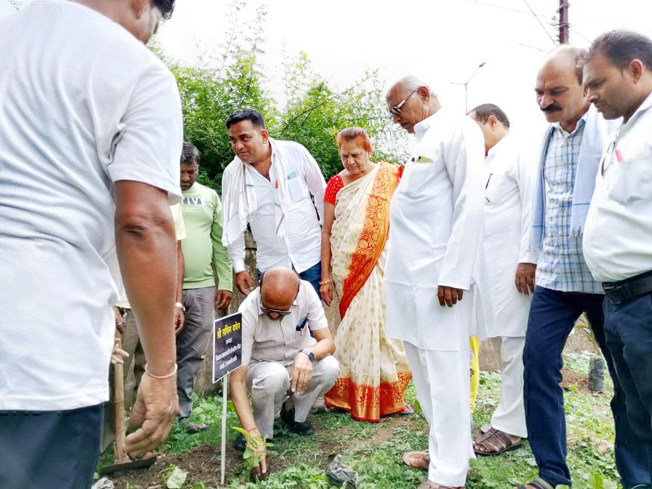 ढाबा सोसायटी धान खरीदी केंद्र में पौधारोपण, हराभरा बनाने बैंक अध्यक्ष ने की अपील
