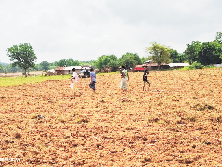बारिश, किसान खेती में जुटे