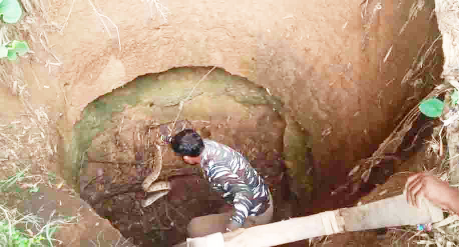 सुखे कुएं में गिरा 6 फीट का अजगर