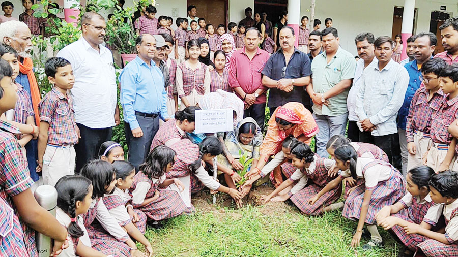 एक पेड़ मां के नाम एक प्रयास है, जो हमारी मातृभूमि और प्रकृति के प्रति हमारे सम्मान और समर्पण को दर्शाता है-पैकरा