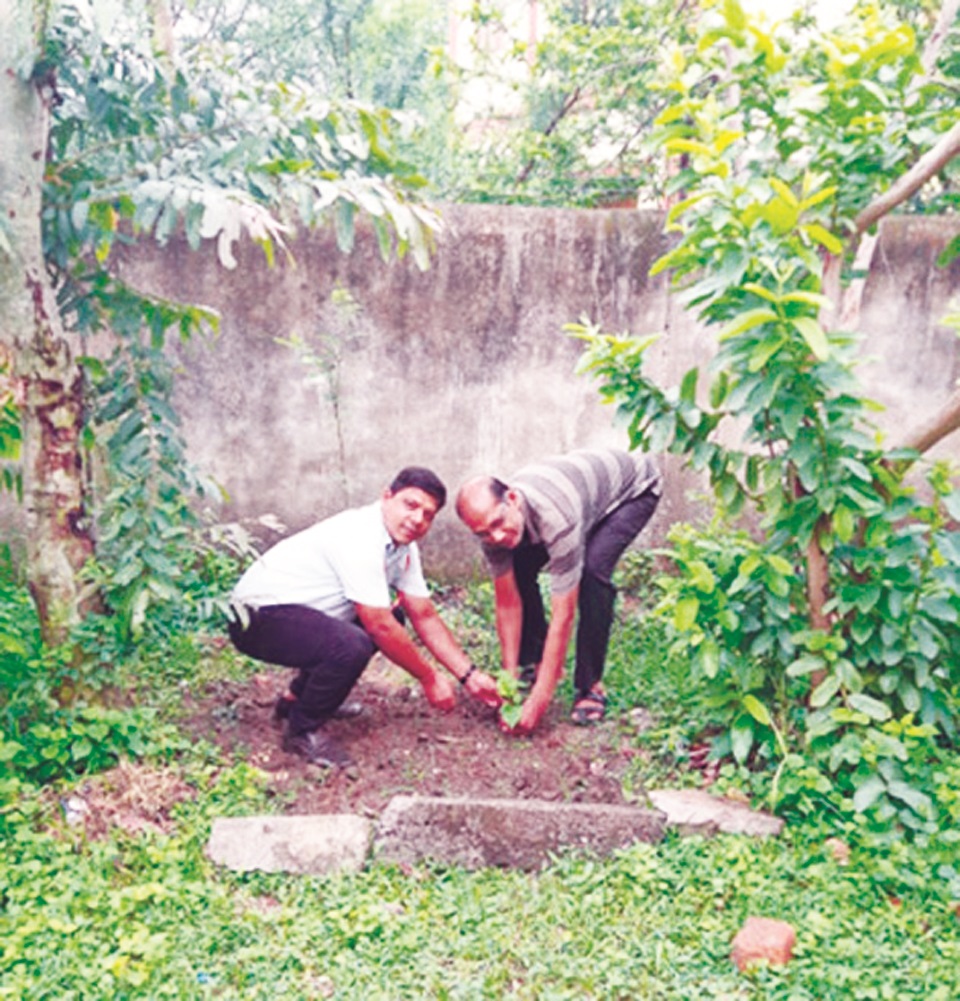 भारती विवि की रासेयो इकाई ने कोनारी में किया पौधरोपण