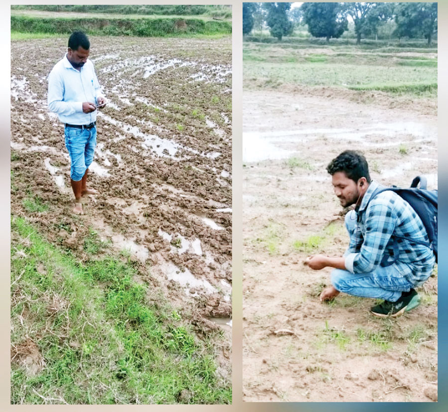 नकली बीज-खाद का कारोबार जोरों पर, किसान को हो रहा नुकसान