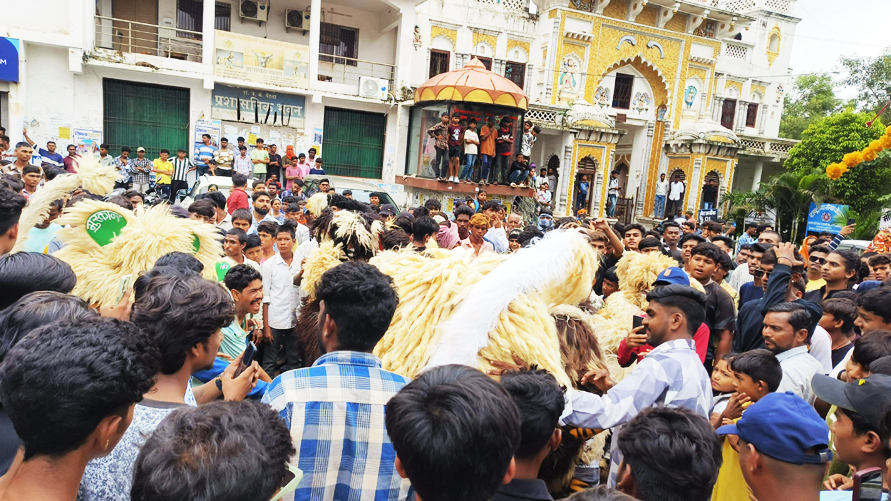 शहर में दिखने लगी मन्नती  शेरों की चहल-कदमी
