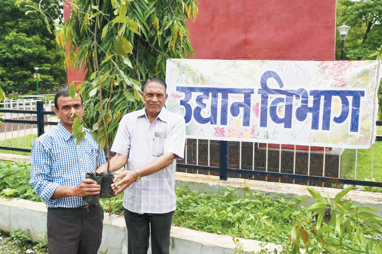 उद्यानिकी विभाग ने 500 पौधों का किया नि:शुल्क वितरण