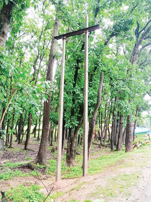 खबर का असर: तराईबेड़ा में नया बिजली पोल लगाया खबर का असर: तराईबेड़ा में नया बिजली पोल लगाया