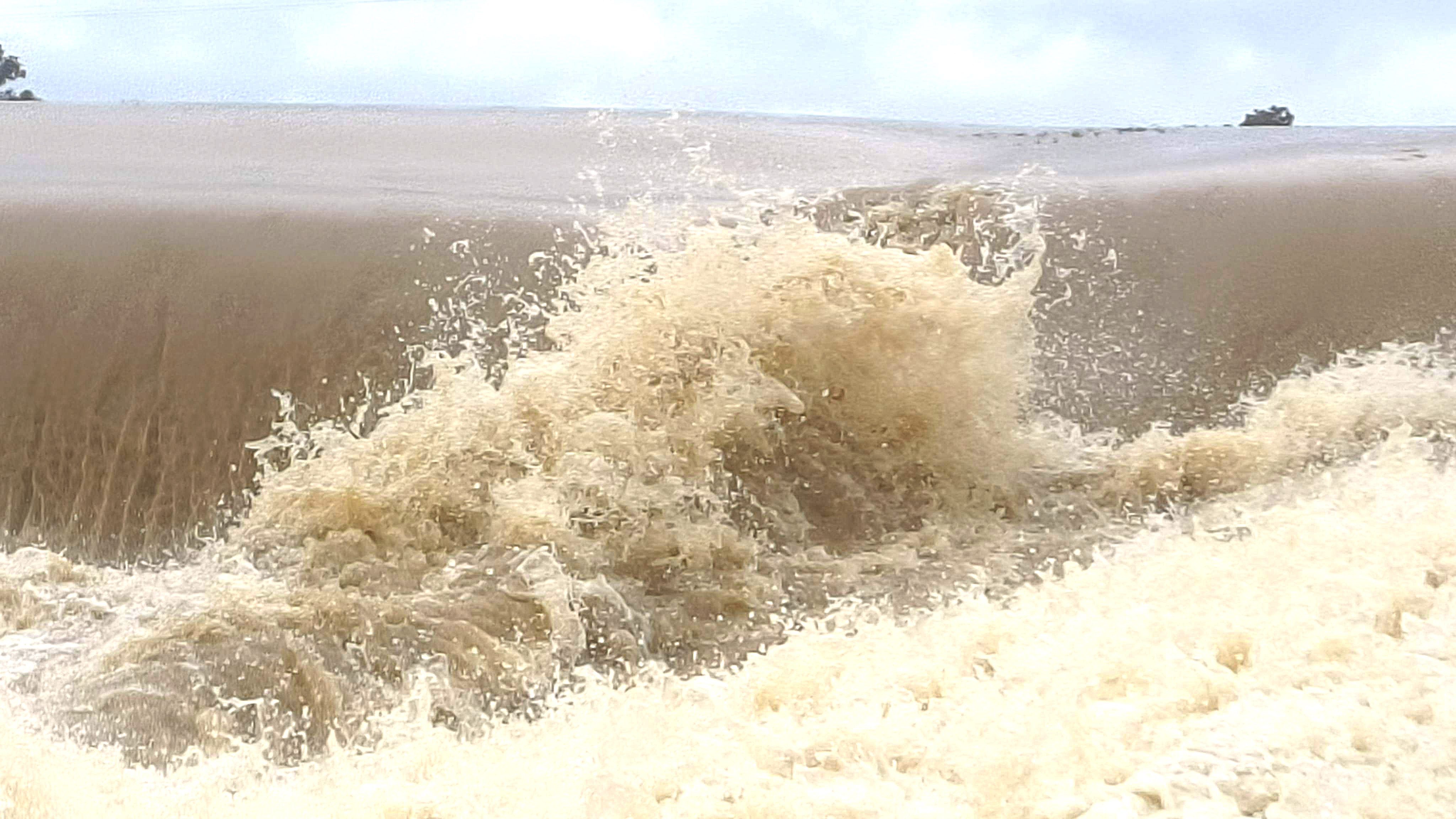 मूसलाधार बारिश से शिवनाथ उफान पर