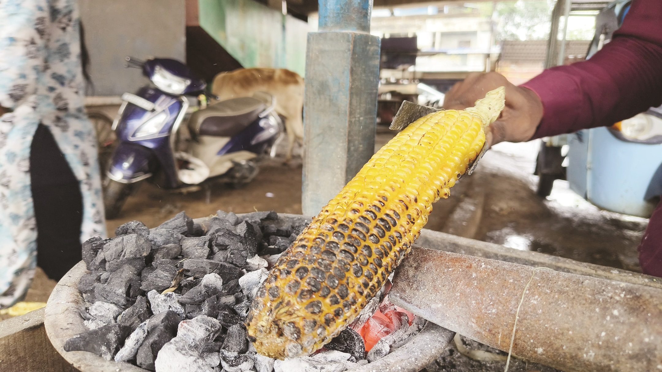 रिमझिम बारिश के बीच बढ़ी भुट्टा की मांग