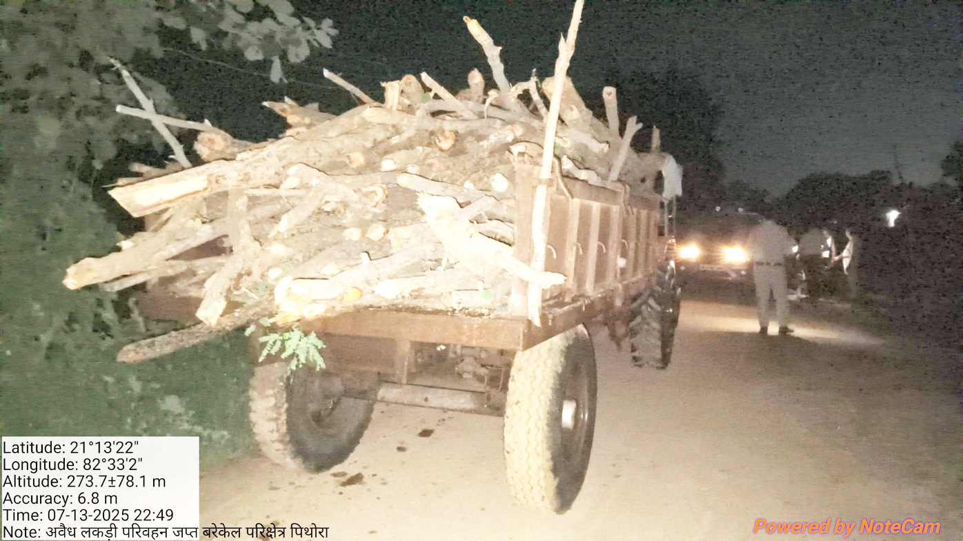ताजी कटी मिश्रित लकड़ी लोड ट्रैक्टर-ट्रॉली पकड़ाईं