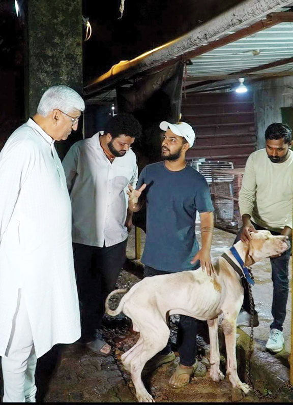 10 हजार से अधिक घायल और चोटिल कुत्तों का कर चुके हैं इलाज
