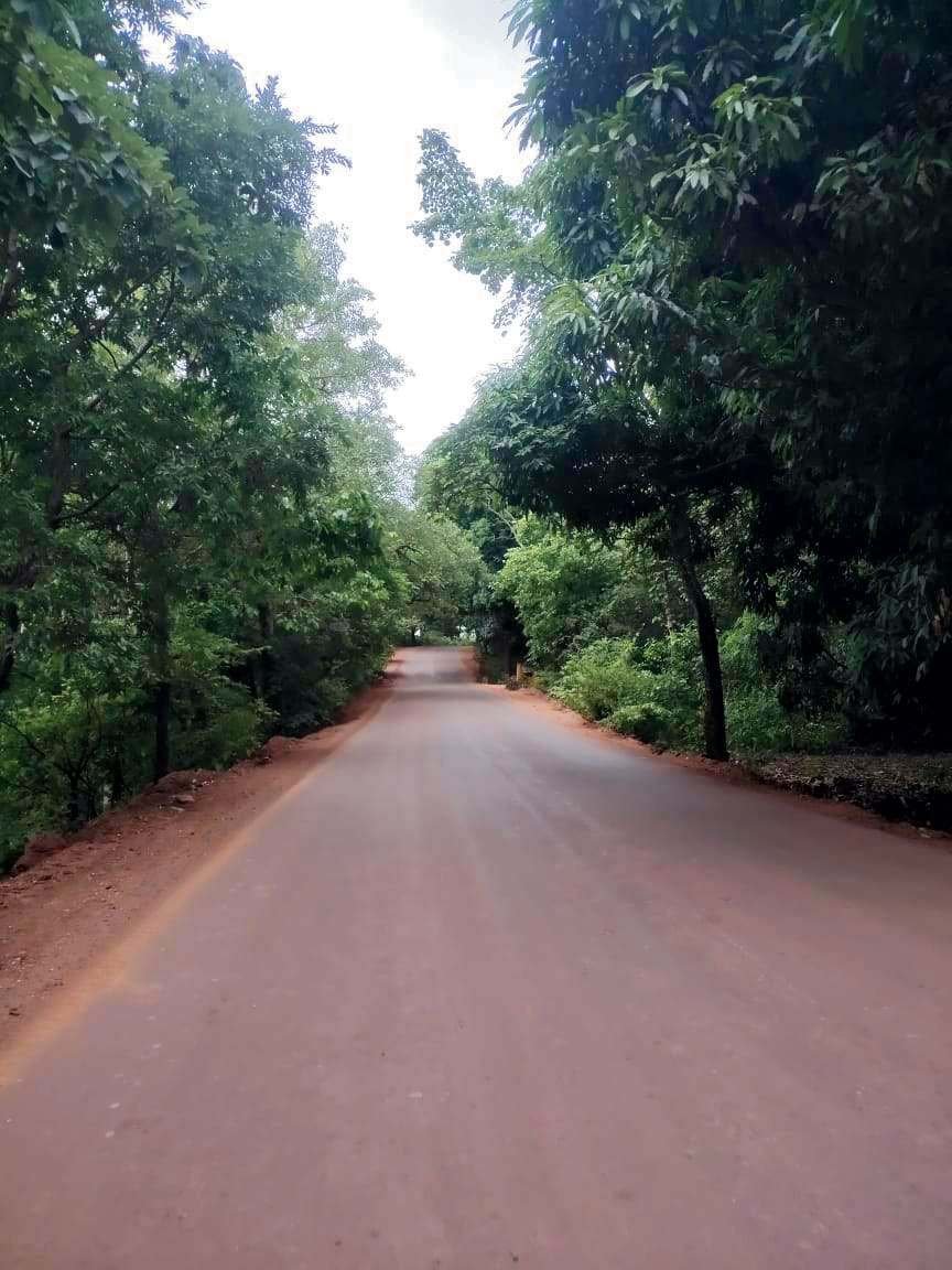 बचेली से किरंदुल मार्ग पर स्ट्रीट लाइट नदारद