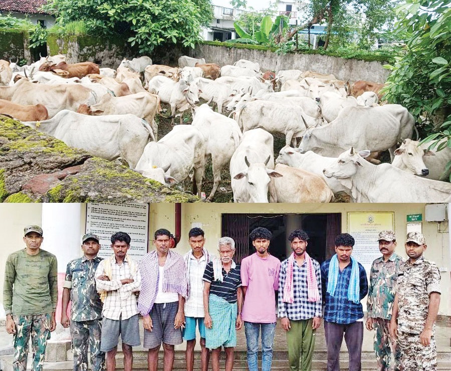 मिनकापल्ली जंगल से 83 मवेशी छुड़ाए, सात आरोपी गिरफ्तार