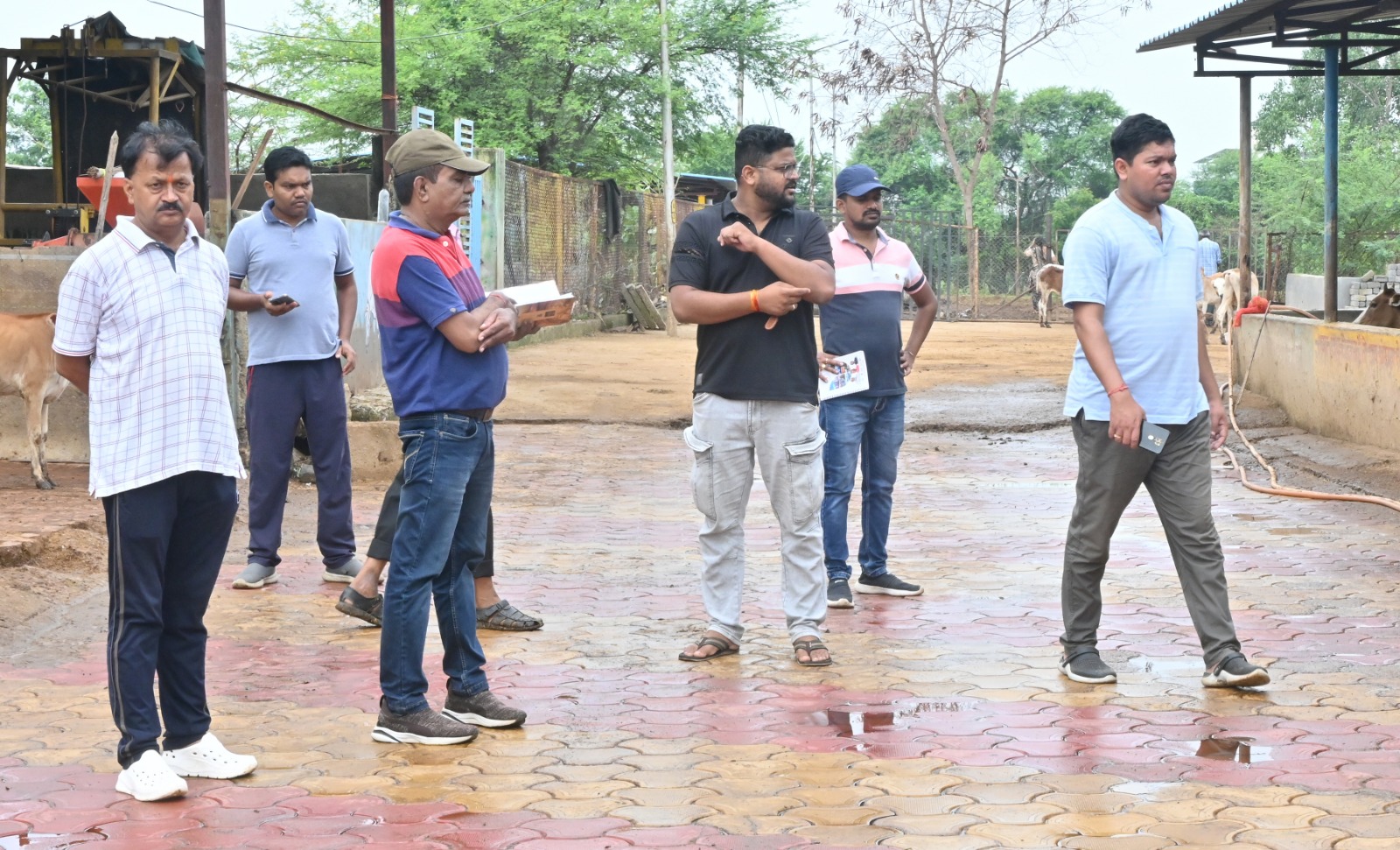 भिलाई में गौठान की देखभाल करेंगे निगम अफसर भिलाई में गौठान की देखभाल करेंगे निगम अफसर