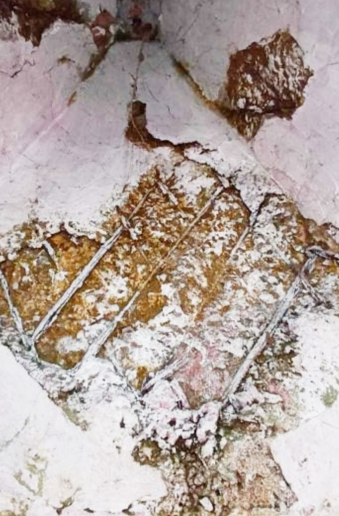 छात्रावास भवन जर्जर, दीवारों में दरारें, छत सेप्लास्टर गिर रही छात्रावास भवन जर्जर, दीवारों में दरारें, छत सेप्लास्टर गिर रही