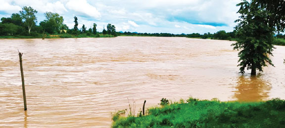 मूसलाधार बारिश से कन्हर नदी का जलस्तर बढ़ा, दो वार्डों के घरों में घुसा पानी