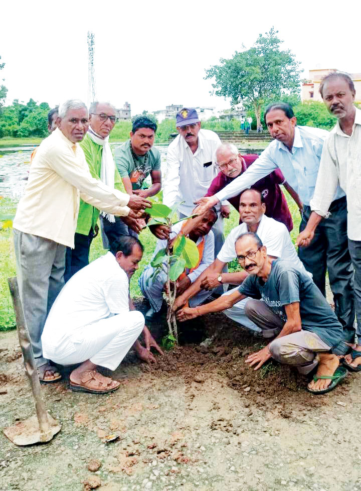 भामाशाह साहू सद्भाव समिति ने किया पौधरोपण