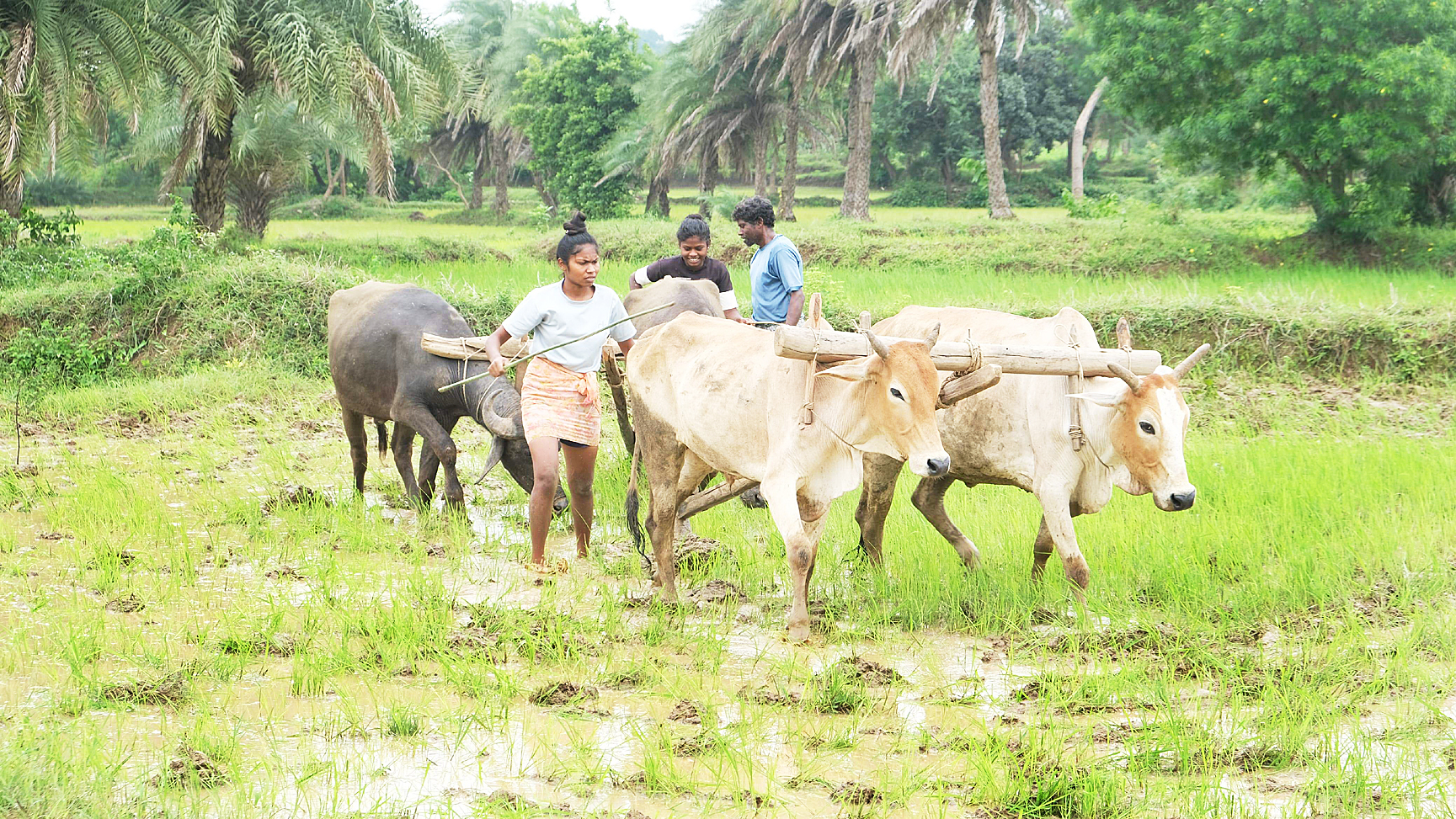 दोनों बहनें गांव के लिए मिसाल