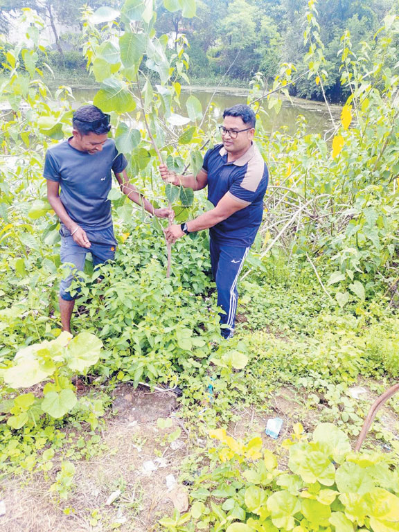 सेवा भारती ने रोपे पौधे