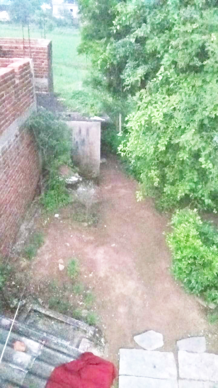 पटवारी पर गलत प्रतिवेदन देने का आरोप,  कलेक्टर से शिकायत