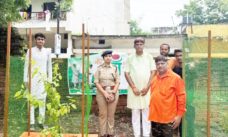 12 पत्तियों वाले बेल के पौधे का रोपण