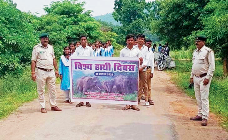 विश्व हाथी दिवस पर कई कार्यक्रम, स्कूली छात्रों ने बढ़-चढक़र लिया हिस्सा