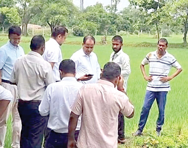 कलेक्टर निकले डिजिटल क्रॉप सर्वे मे