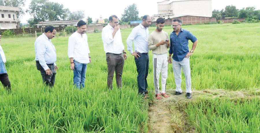 डिजिटल क्रॉप सर्वे का निरीक्षण करने सोनपुर पहुंचे कलेक्टर