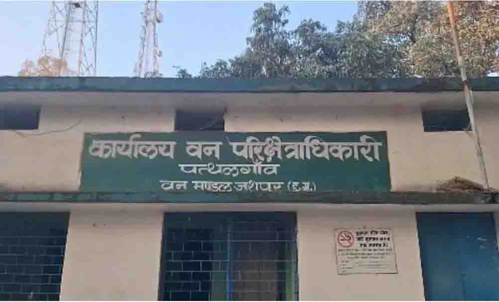 हाथी हमले से किसान की मौत