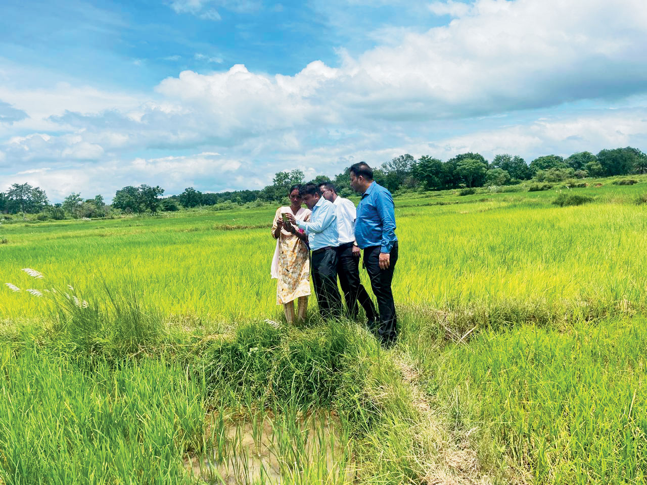 डिजिटल क्रॉप फसल सर्वे जारी