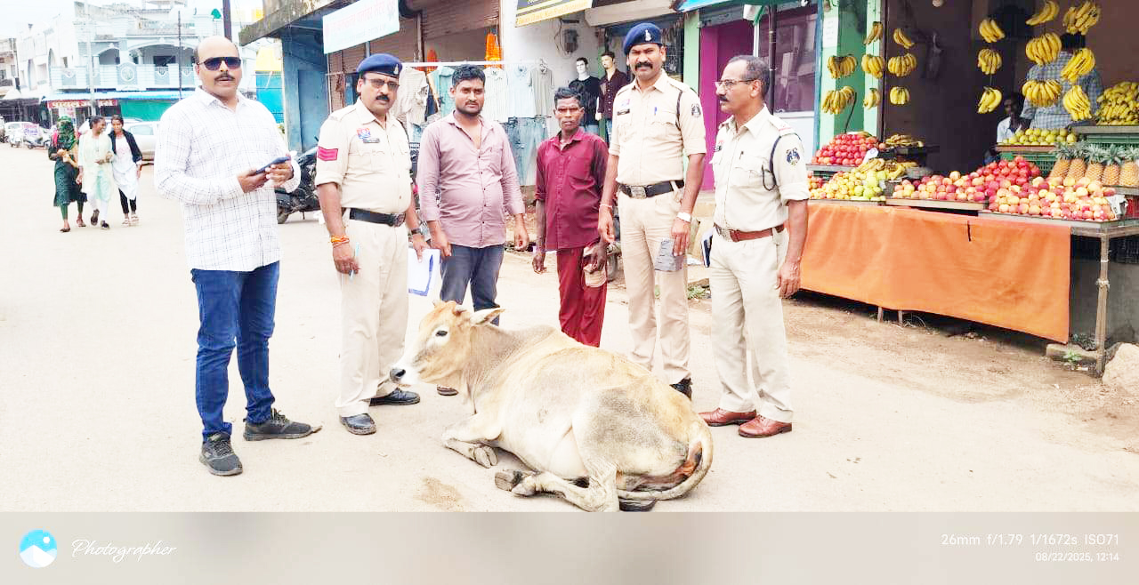 सडक़ हादसों के बाद मवेशी मालिकों पर शुरू हुई कार्रवाई