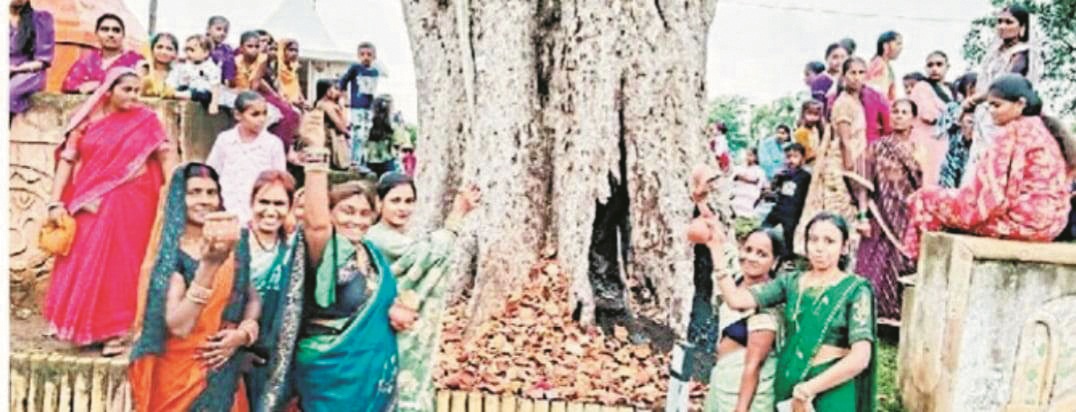 महिलाओं ने पीपल के नीचे पोरा पटककर मांगी परिवार व गांव की खुशहाली 
