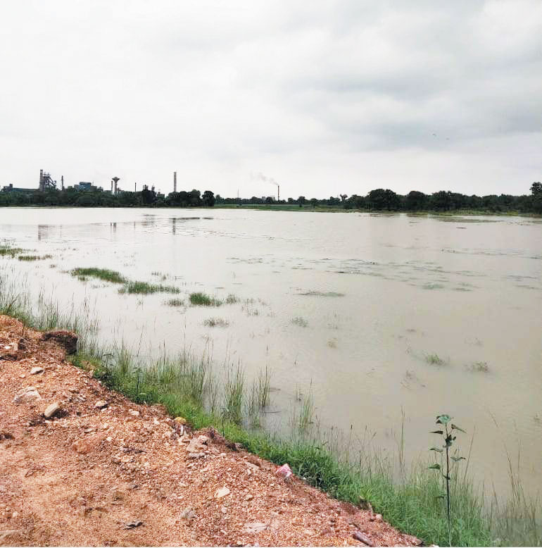 न्यायालय में इण्ड सिनर्जी फैक्ट्री के विरूद्ध मामला पंजीबद्व