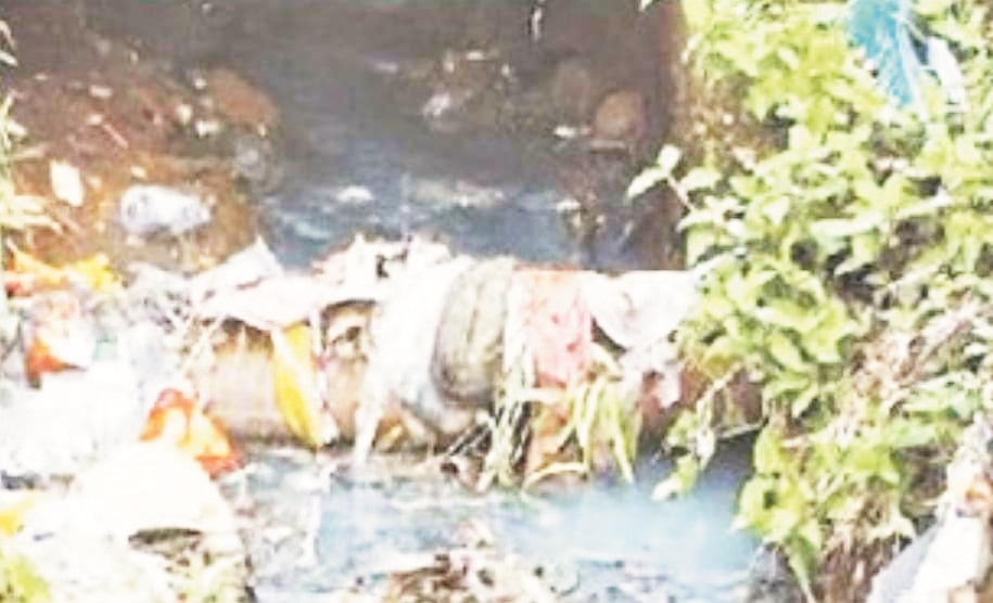 शहर में है गंदगी भरमार, डायरिया का खतरा 