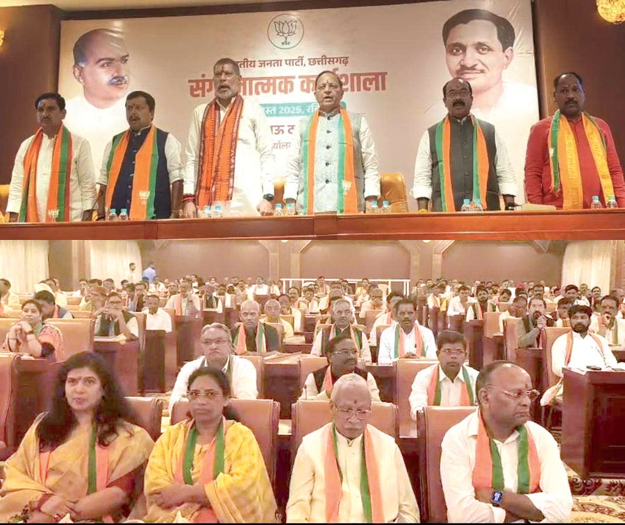 संगठनात्मक कार्यशाला