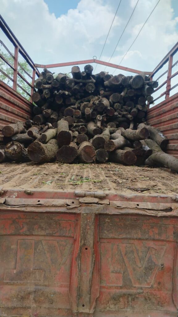 वन विभाग खेत से निकली बबूल लकड़ी की जब्त! वन विभाग खेत से निकली बबूल लकड़ी की जब्त!