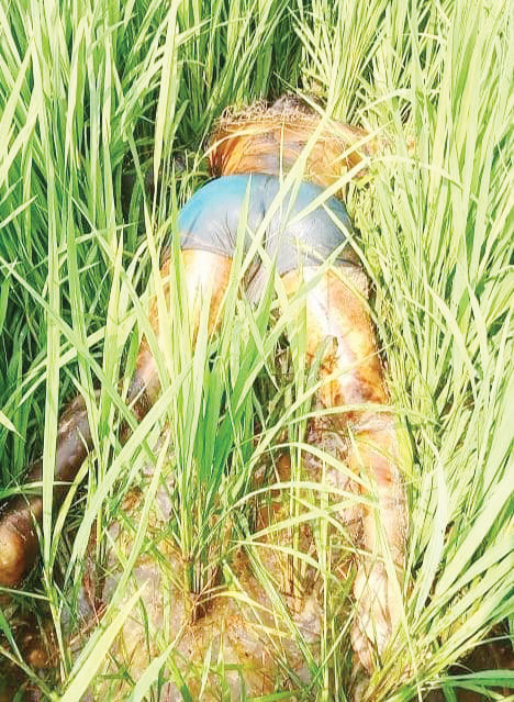 लुतिया बांध टूटने से बहे बुजुर्ग की लाश बरामद, मासूम अब भी लापता लुतिया बांध टूटने से बहे बुजुर्ग की लाश बरामद, मासूम अब भी लापता