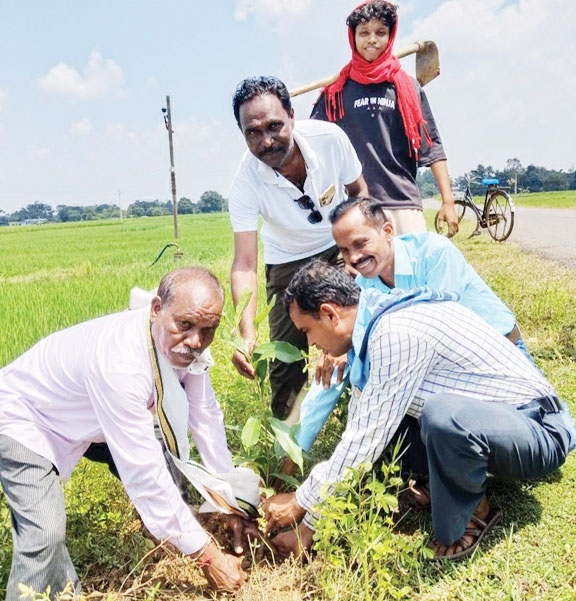  पौधरोपण अभियान, 505 पौधे लगाए