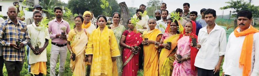 विधायक लता उसेंडी ने मसोरा  में लगाए 7 सौ पौधे